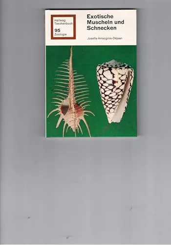 Exotische Muscheln und Schnecken