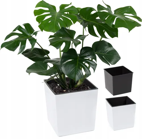 Lamela Blumentopf | Juka | Mit Einsatz | Weiß | 40 cm