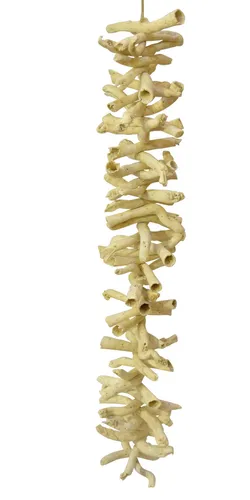 Girlande Trockenfrucht 70 cm Dekohänger Naturgirlande maritim Hängedeko Hänger