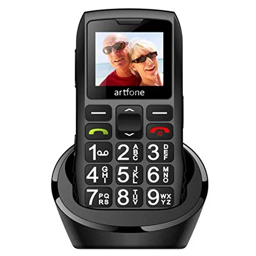 Alcatel 20.19g Metallic Silver Easy Phone - Handy ohne Vertrag mit 2,4