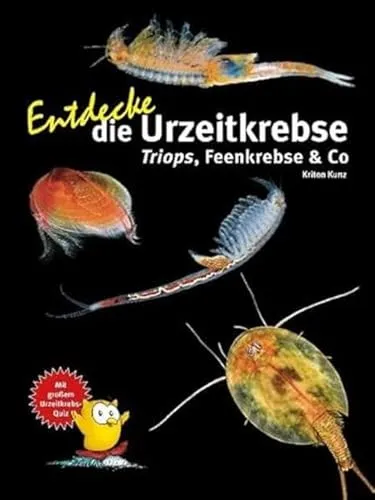 Entdecke die Urzeitkrebse: Triops, Feenkrebse & Co (Entdecke