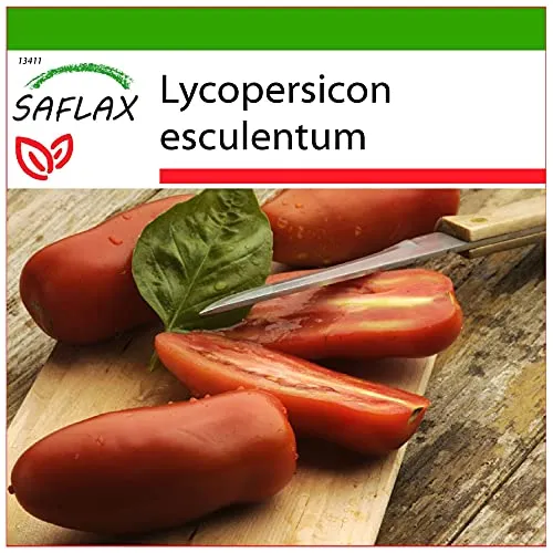 SAFLAX - Tomate - San Marzano - 10 Samen - Mit keimfreiem Anzuchtsubstrat - Lycopersicon esculentum