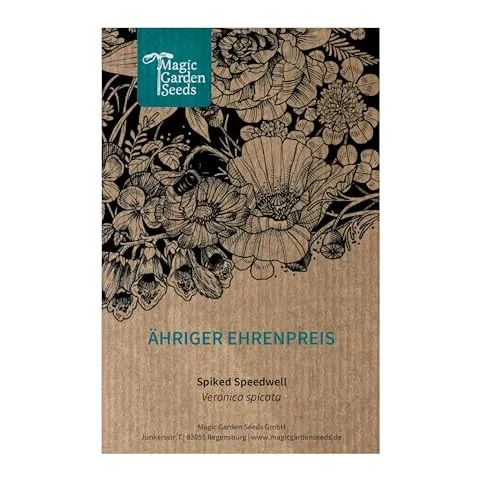 Ähriger Ehrenpreis (Veronica spicata)