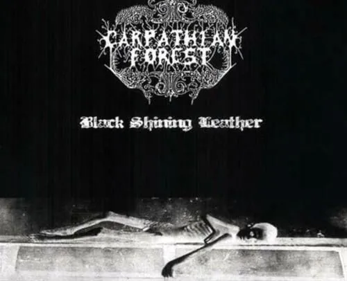 Black Shining Leather [Vinyl LP]