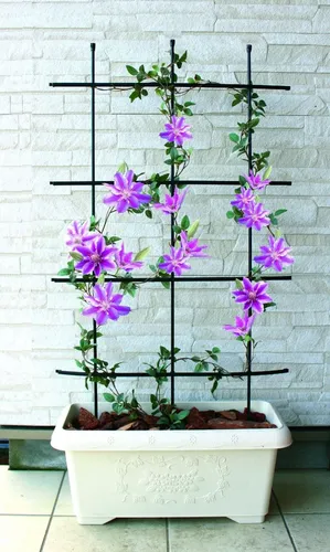 TrendLine Rankgitter 120 cm in schwarz von TrendLine