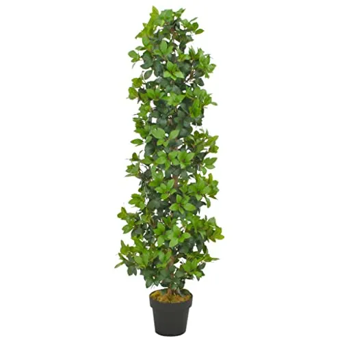 Lebensechter Lorbeerbaum | Laurus nobilis - Grünpflanze im Topf, ideal zur Dekoration und für frische Gewürze in der Küche, Höhe: 40 cm