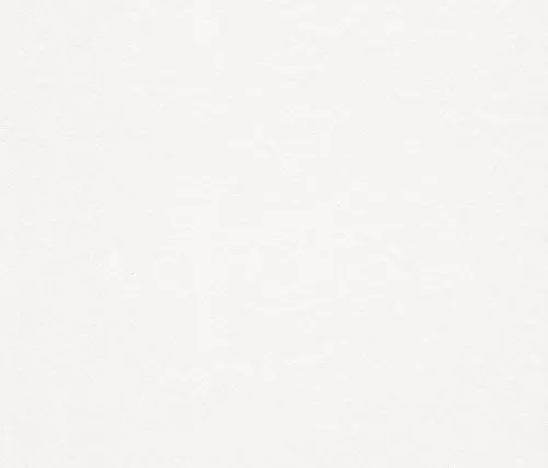 Rasch Tapete 140200 - Glattvlies, Profivlies, Überstreichbar, Weiß - 10,05m x 0,53m (LxB)