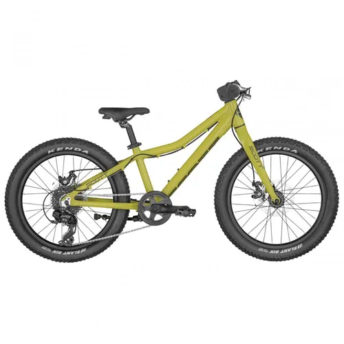 Scott Roxter 20 Junior Mountainbike von Scott
