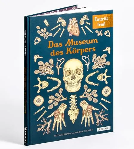 Das Museum des Körpers: Eintritt frei!
