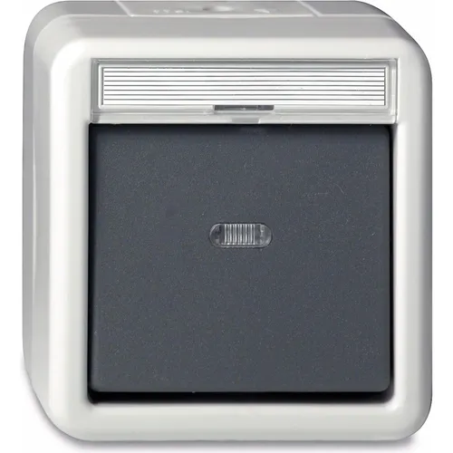 Gira Wechseltaster (015630) von Gira