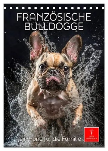 Peter Roder | Französische Bulldogge - ein Hund für die Familie...