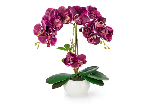 Kunstorchidee PASCH® von PASCH
