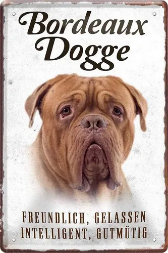 WOGEKA ART Metallbild Hunde-Rassen Steckbrief 20 x 30 cm Blechschild Haustier Hund Deko, Bordeaux Dogge
