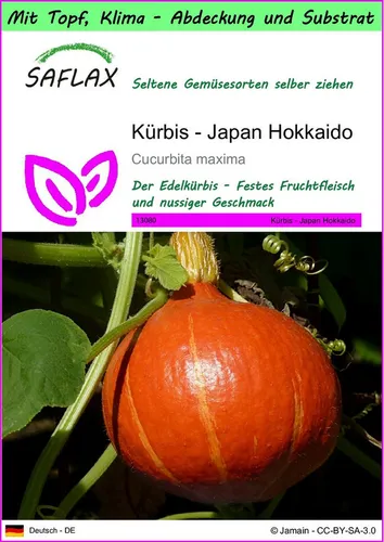SAFLAX Gemüsesamen SAFLAX - Garden to go - Kürbis - Japan Hokkaido