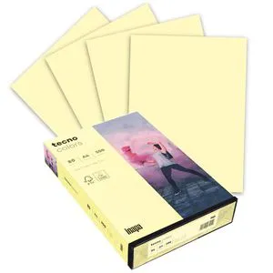 Inapa tecno colors, 2100011397, Kopierpapier, hellgelb, 80g/qm A4 Coloured Paper,