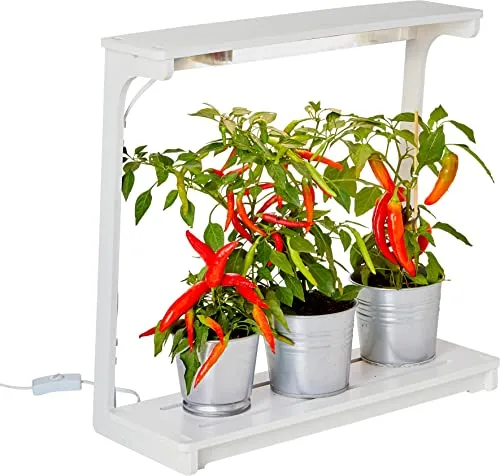 Northpoint LED Pflanzenlampe 14W mit Grow Timer