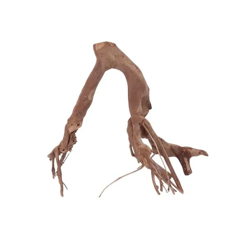 Produktbild Aquaristikwelt24