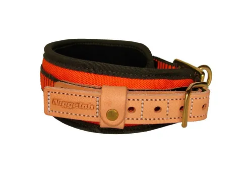 Niggeloh Hunde-Halsband Schweißhalsung von Niggeloh