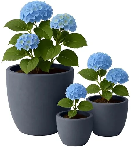 CLP Pflanzkübel groß, 3er Set - Wetterfeste Blumenkübel für Innen und Außen - Garten-Zubehör: Robuste, atmungsaktive Pflanzgefäße aus Fiberclay in Steinoptik, ideal für Garten und Balkon. Wetter- und frostsicher, leicht zu handhaben und perfekt für große Pflanzen.
