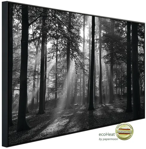 Papermoon Infrarotheizung INFRAROT-BILD-HEIZUNG, Forrest Morgen, schwarz & weiß, TÜV-Rheinland zertifiziert - Moderne Infrarotheizung für effiziente, angenehme Wärme. Ideal für Wohnräume, sorgt für ein behagliches Raumklima und ist schnell einsatzbereit. Mit geprüfter Sicherheit und Hochwertigkeit.