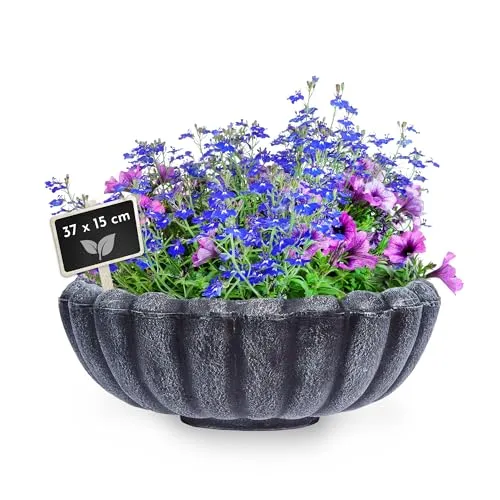 Roto Pflanzschale Margarite Größe S, Pflanztopf aus Kunststoff für den Außenbereich