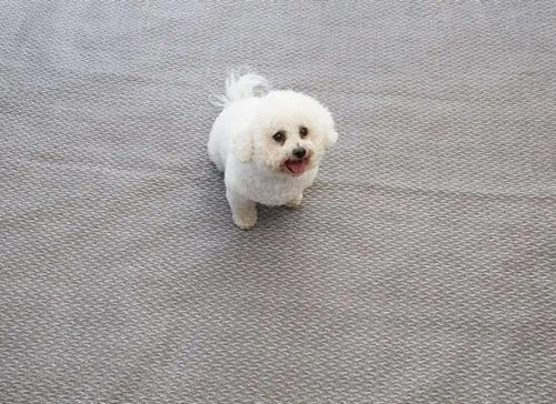 Isabella Flint Zeltteppich, 300x550cm