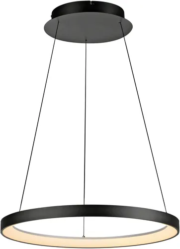 Paul Neuhaus HOOP 2851-18 LED-Pendelleuchte - Moderne Lampen für jeden Raum mit stufenloser Dimm-Technologie 