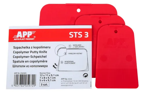 APP 250305 STS