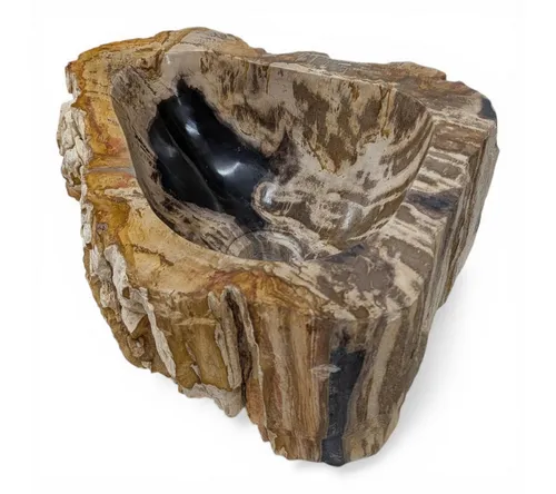 Kinaree Aufsatzwaschbecken Versteinertes Holz Waschbecken #22, poliert, Naturstein, Beige, Braun, Grau, Bruchstein Optik