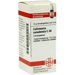 Collinsonia Canadensis C 30 Globuli 10 g