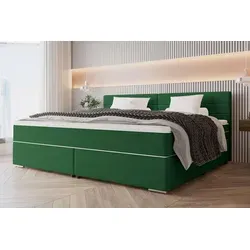 99rooms Phönix Familienbett Boxspringbett 240×200 cm Dunkelgrün - Elegantes Boxspringbett für Familien, ideal für gemeinsamen Schlafkomfort. Mit modernem Design, Taschenfederkern und einfachem Aufbau für ein stilvolles Schlafzimmer.