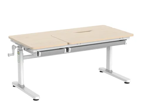 HOKO Kinderschreibtisch höhenverstellbar 54-76 cm - Ergonomischer Kinderschreibtisch (120x60 cm) mit neigbarer Tischplatte für optimale Körperhaltung, ideal für Hausaufgaben und kreative Tätigkeiten. Stabil und belastbar bis 100 kg.