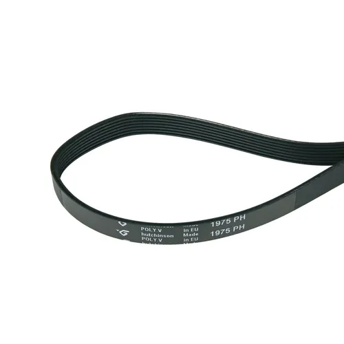 Keilriemen Keilrippenriemen 1975PH7 Trockner Universal AEG Zanussi 1258288107