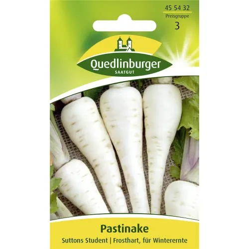 Pastinake, Suttens Student