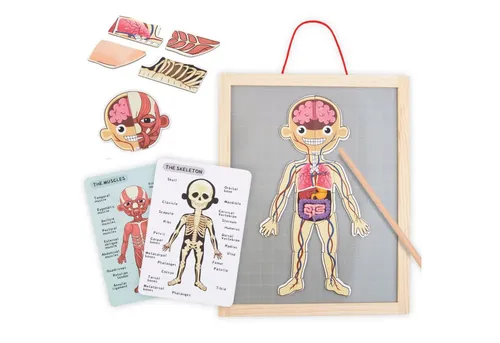 Mamabrum Anatomie-Puzzle - Magnetisches Lernspielzeug für Kinder - Pädagogisches Lernspielzeug, das den menschlichen Körper spielerisch erklärt und die englische Vokabeln fördert. Ideal für Kinder ab 3 Jahren!