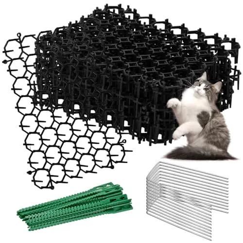 Dornengitter Gegen Katzen