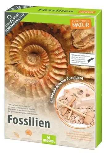 Moses. Expedition Natur Das große Fossilien-Ausgrabungs-Set, Gipsblock mit 5 echten Fossilien, Ausgrabungsset inklusive Ausgrabungswerkzeug, Lupe und Aufbewahrungsbeutel