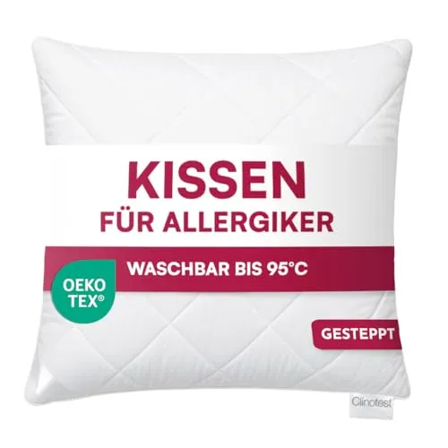 Clinotest Kissen 80x80 cm – Waschbar bis 95°C, Dekokissen für Sofa, Allergikerfreundlich & Oeko-Tex Zertifiziert, Langlebig & Weich, 700 g Füllung.