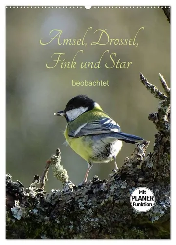 Flori Flori0 | Amsel, Drossel, Fink und Star - Wandkalender 2026 - Wunderschöner Wandkalender mit 14 kunstvollen Abbildungen heimischer Vögel. Ideal für Naturliebhaber und Kunstfreunde, bringt er Farbe und Freude in jeden Raum.