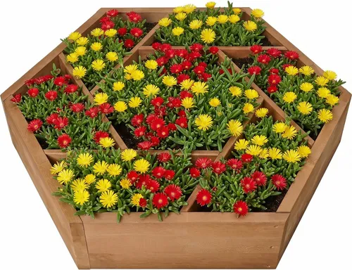 needs&wants® Hochbeet Pflanzbeet groß mit 7 Pflanzkästen aus Holz - Gestalte deinen Garten mit dem needs&wants® Hochbeet! Mit 7 Pflanzfächern und wetterbeständigem Tannenholz ist es ideal für Blumen, Kräuter und Gemüse. Inklusive Aufbauanleitung für einfachen Aufbau.