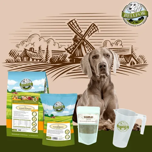 Bellfor Hundefutter Trockenfleisch Haut & Fell Pulver Sparpaket 3x - Kaltgepresstes Trockenfutter für gesunde Haut und glänzendes Fell. Ideal für mittelgroße bis große Hunde, ohne Getreide und Gluten, aus hochwertigem Huhn. Made in Germany.
