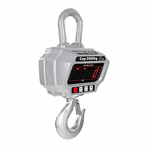 Steinberg Systems Kranwaage SBS-KW-5000 von Steinberg Systems