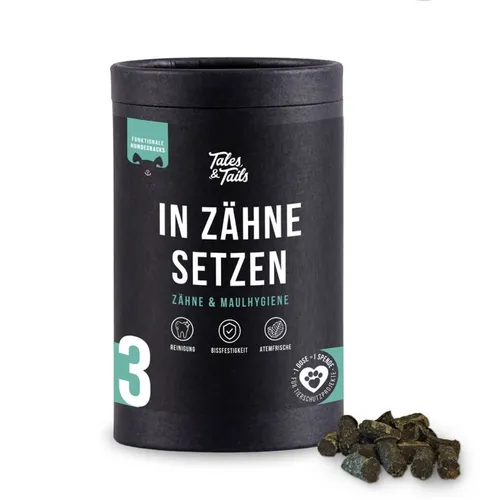Tales & Tails In Zähne setzen - Funktionaler Hundesnack - Zähne: Hochwertige Snacks mit Lamm und natürlichen Inhaltsstoffen fördern die Maulhygiene, beugen Mundgeruch vor und unterstützen die Gesundheit von Zähnen und Zahnfleisch.