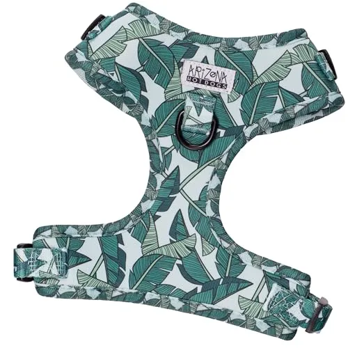 Arizona Hotdogs Softgeschirr Amazonia für mittelgroße Hunde - Blattmuster Grün (M) - Stylisches Softgeschirr aus Neopren für mittelgroße Hunde, ideal für Cocker Spaniel und Beagle. Perfekte Passform, widerstandsfähig und farbenfroh, für mehr Spaß beim Gassigehen!