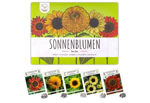 HappySeed Blumensamen Farbenfrohe Sonnenblumen Samen - für einen bienenfreundlichen Garten, Sonnenblumen