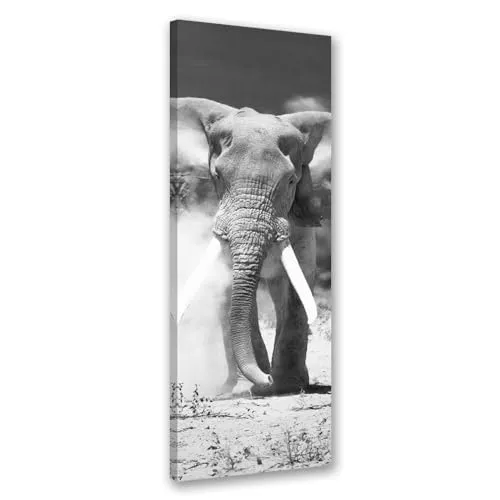 Feeby Bilder Afrika Elefant 30x90 cm 1 tlg Modern Leinwandbilder Bild auf Leinwand Kunstdruck Wand Bild Wanddeko Design Schlafzimmer Büro Flur Hotel Spa Wohnzimmer Natur Tier schwarz-weiß