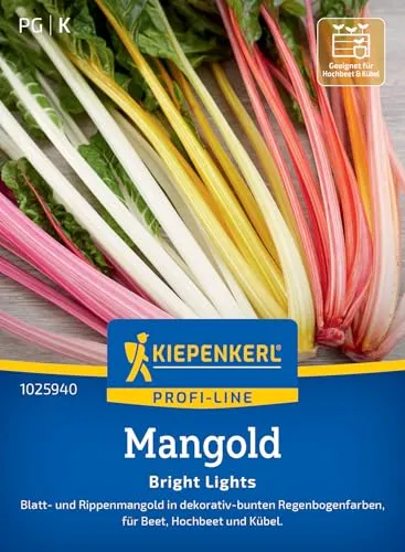 Kiepenkerl Profi-Line Mangoldsamen Bright Lights 1025940 von Kiepenkerl