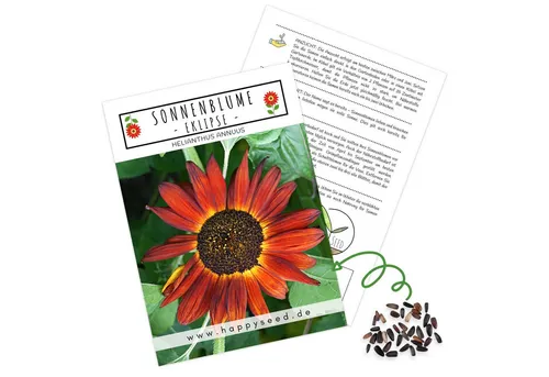 HappySeed Blumensamen Sonnenblumen Samen - Helianthus annuus (Eklipse), Sonnenblumen