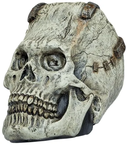 Ghoulish Productions - Franky Schädel, Hard Latex Props-Linie, strapazierfähige handbemalte Latexverkleidung, Halloween, Karnevalsumzug, Kostümparty