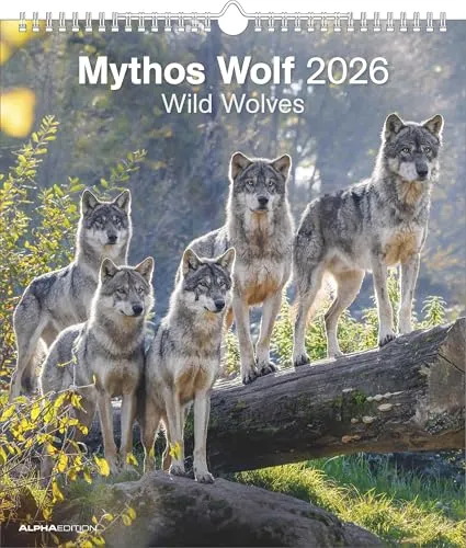 Alpha Edition - Mythos Wolf 2026 – Wandkalender 30×34 cm mit 12 faszinierenden Wolfsfotografien, 4-sprachiger Fotokalender für Naturfreunde, Tierliebhaber & Wildnis-Fans: Wild Wolves